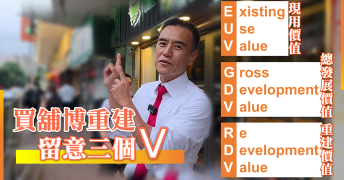 甚麼是 EUV、GDV 與 RDV？